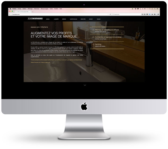 web: création d'un site web sous HTML5 / CSS3